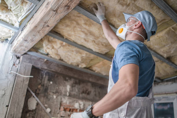 Best Insulation for Specific Applications in St Martin, MS