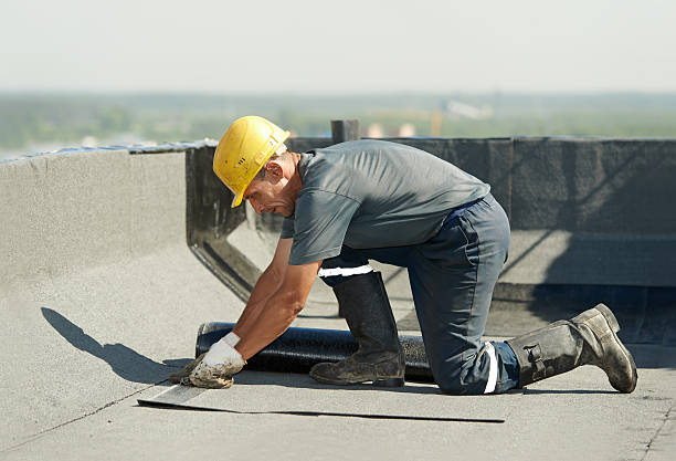 Best Insulation Installation Services in St Martin, MS